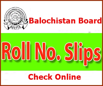 Balochistan Board Roll Number Slip 2024 | bbiseqta.edu.pk 