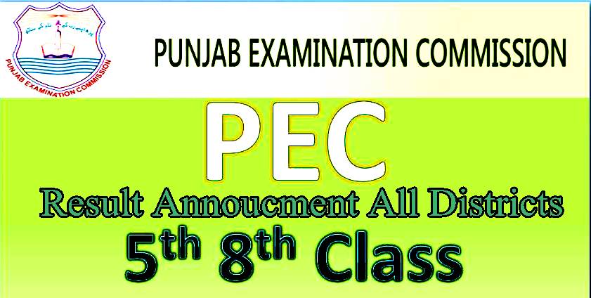 PEC 5th ,8th Class Result Check Online By Roll No