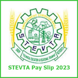 STEVTA Pay Slip Download Online Seniority List