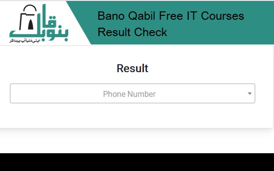 Bano Qabil Free IT Courses Result Check Online 