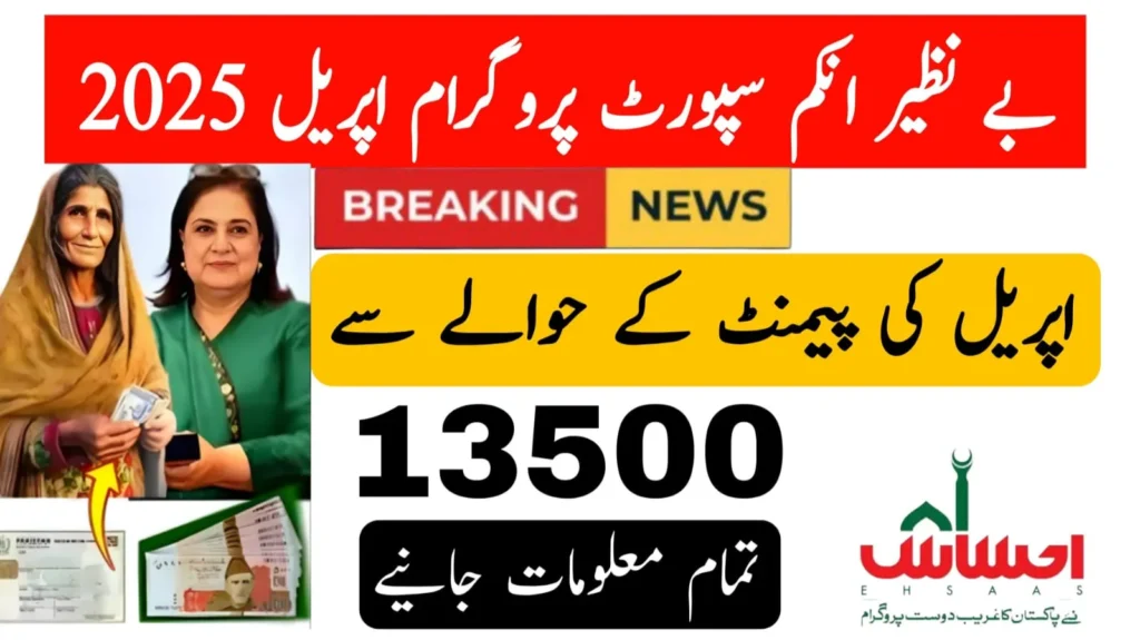 Ultimate Guide to 8171 Ehsaas Program 25000 CNIC Check Online