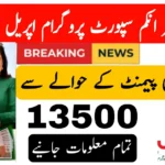 Ultimate Guide to 8171 Ehsaas Program 25000 CNIC Check Online