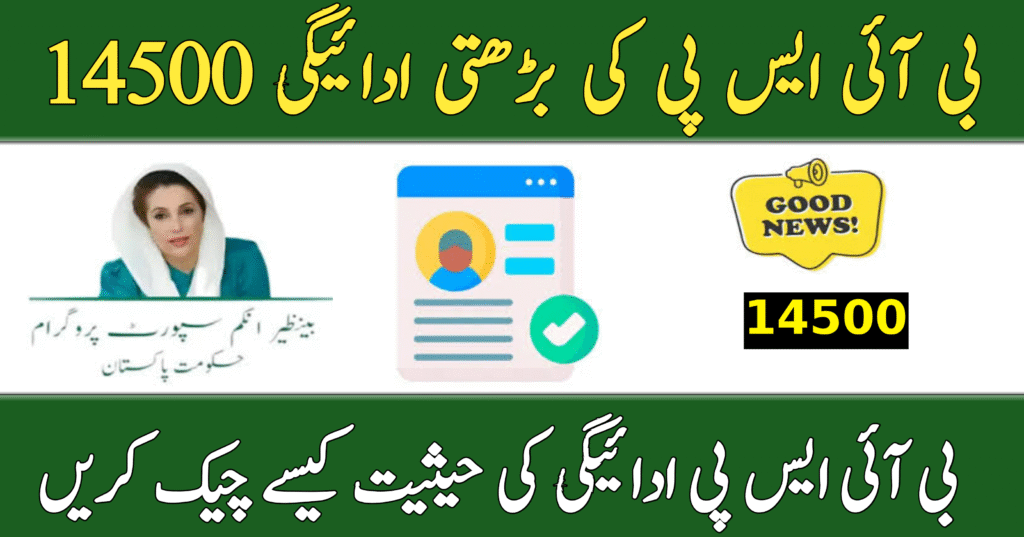 BISP 14500 June 2025 Payment Status Check – Complete Guide for Beneficiaries