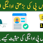 BISP 14500 June 2025 Payment Status Check – Complete Guide for Beneficiaries