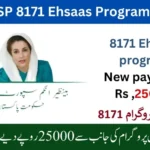 BISP 8171 Online Apply 2025 | Your Complete Guide to Financial Support
