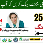 8171 Ehsaas Program New Eligibility Criteria