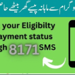Check Eligibility For 8171 Ehsaas Program 25000 – Complete Guide 2025