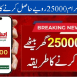 8171 Ehsaas program 25000 CNIC Check Online Registration – Update 2025