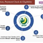 Check Online 8171 Ehsaas Program 25000 Registration | Complete NSER Survey
