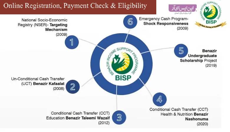 Check Online 8171 Ehsaas Program 25000 Registration | Complete NSER Survey
