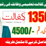 BISP Kafalat Education Stipend 8171 Ehsaas 13500 And 4500 Latest Update
