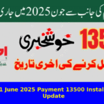 Ehsaas 8171 June 2025 Payment 13500 Installment Latest Update