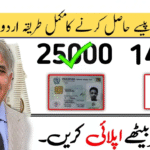 25000 Ehsaas Program | Latest Mobile App – Full Guide (2025)