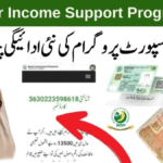 Everything You Need to Know About 8171 Rashan Program Check Online & the 8171 Ehsaas Program