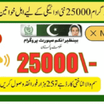 8171 Ehsaas Program 25000 BISP News 2025 | Latest Updates, Eligibility, and How to Apply