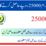 8171 احساس پروگرام 25000: مکمل رہنمائی، رجسٹریشن، اہلیت اور رقم حاصل کرنے کا طریقہ