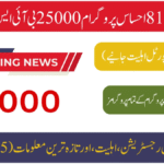 How to Register for 8171 Ehsaas Program 25000 BISP and Receive Rs. 25,000 Financial Aid in 2025