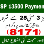 BISP CNIC Check Online June 2025 – CNIC سے آسان طریقے سے BISP رقم چیک کریں!