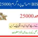Ultimate Guide to the 8171 Ehsaas Program 25000 BISP Registration in 2025